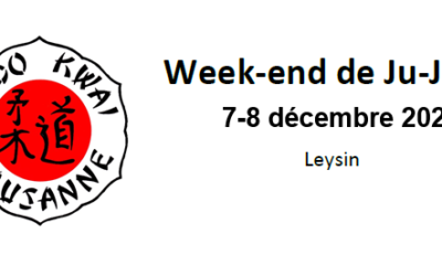 Leysin 2024 – 2ème stage Ju-Jitsu