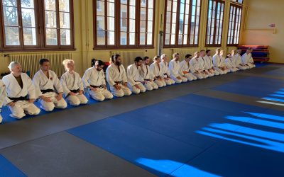 Leysin 2025 – 3ème stage Ju-Jitsu